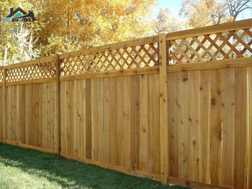 Cedar _Fence